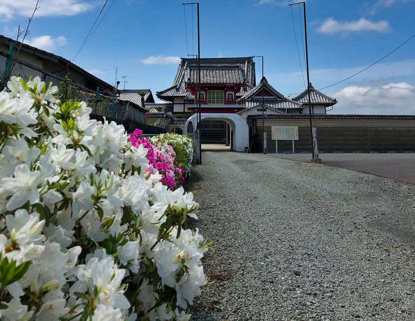 ツツジ #お寺 #日蓮宗 #終活 #葬儀 #納骨 #永代供養 #檀家 #佐賀市