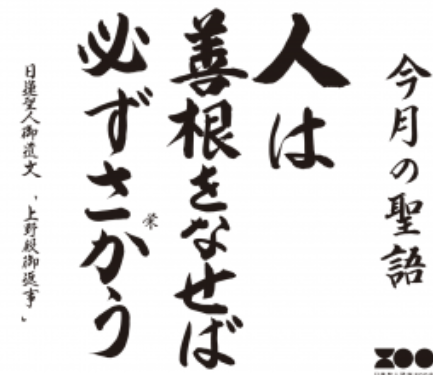 1月の聖語 みょうせい#お寺 #日蓮宗 #終活 #葬儀 #納骨 #永代供養 #檀家 #佐賀市