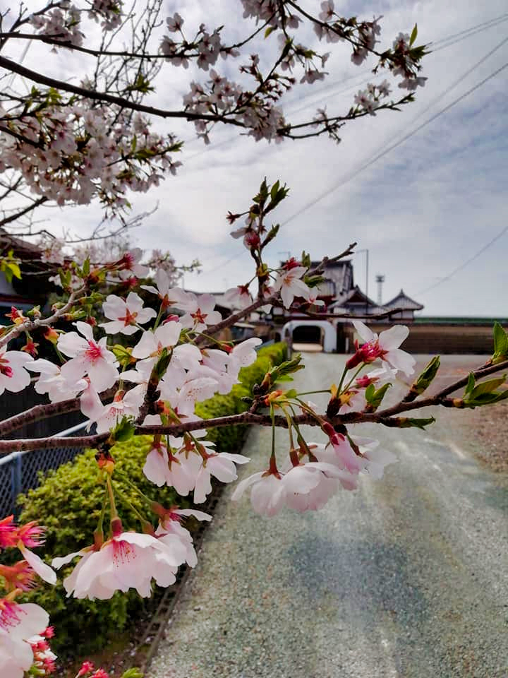 お経会法要 #お寺 #日蓮宗 #終活 #葬儀 #納骨 #永代供養 #檀家 #佐賀市