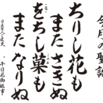 seigo