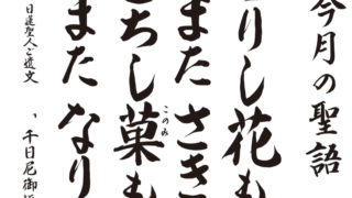 seigo