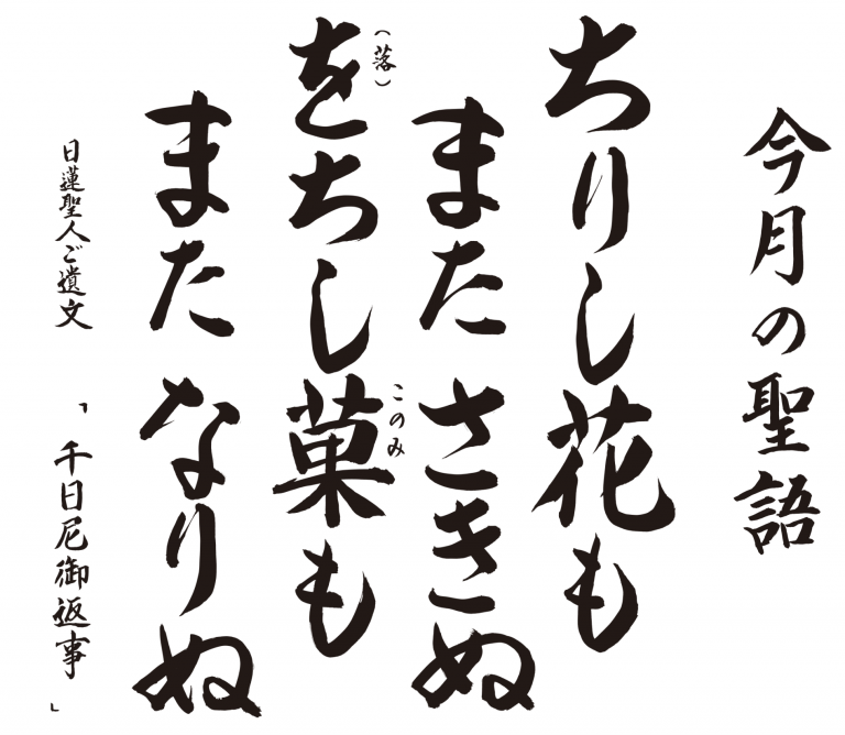 seigo